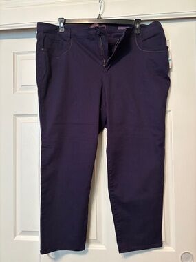 Gloria Vanderbilt Deep Plum Cropped Stretch Pants
